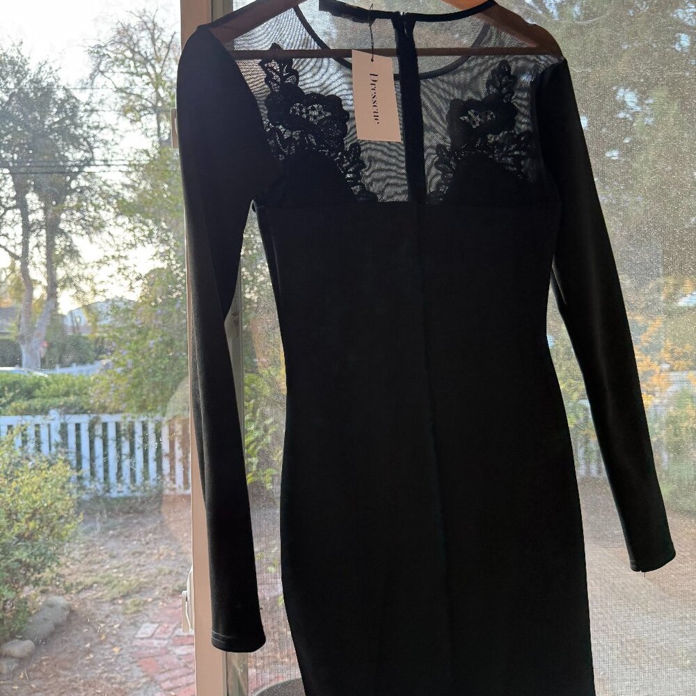 Black Sheer Floral Mini Dress